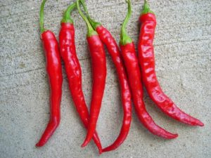 cayenne chili peppers