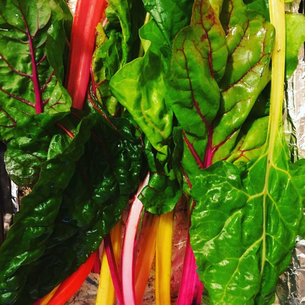 Rainbow Chard