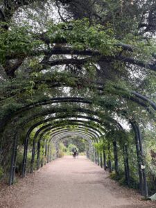 Garden Arches